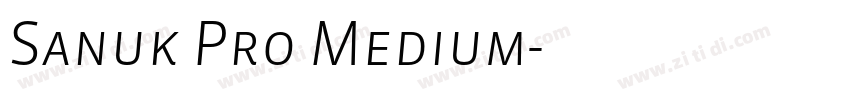 Sanuk Pro Medium字体转换 Sanuk Pro Medium字体转换